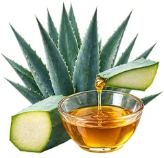 Detoxol Acua - agave