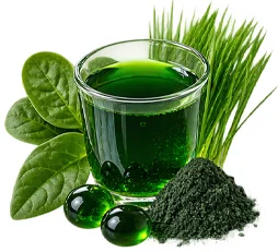 Detoxol Acua - extracto de clorofila