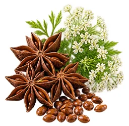 Detoxol Acua - extracto de hojas de anís