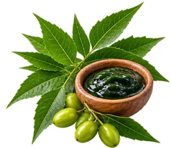 Detoxol Acua - extracto de hojas de neem