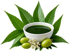 Detoxol Acua - extracto de hojas de neem