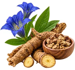 Detoxol Acua - extracto de raíz de genciana