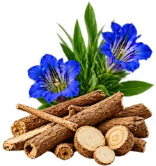 Detoxol Acua - extracto de raíz de genciana